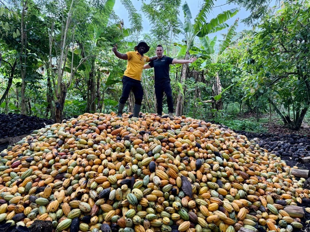 3 mountains coco standing on pods